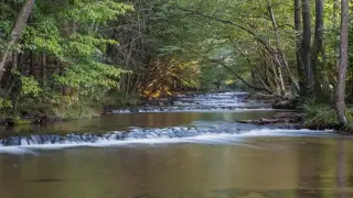 Malowniczy strumień w lesie, kaskady i szum wody tworzą piękne **Suściec atrakcje**. Idealne miejsce na relaks.