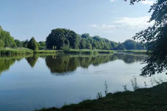 Spokojna tafla wody odbija bujną zieleń drzew i niebo. Idealne miejsce na spacer po oleśnickiej trasie.