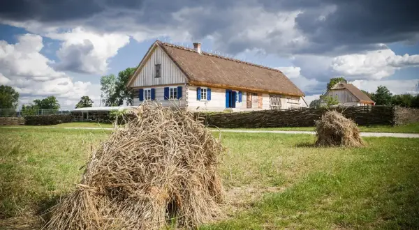 Skansen w Wiączeminie: Odkryj fascynującą kulturę Olędrów