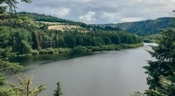 Malowniczy krajobraz z szeroką rzeką, otoczoną gęstym lasem i wzgórzami. W oddali widać domy. To widok na najdłuższą rzekę w Polsce.