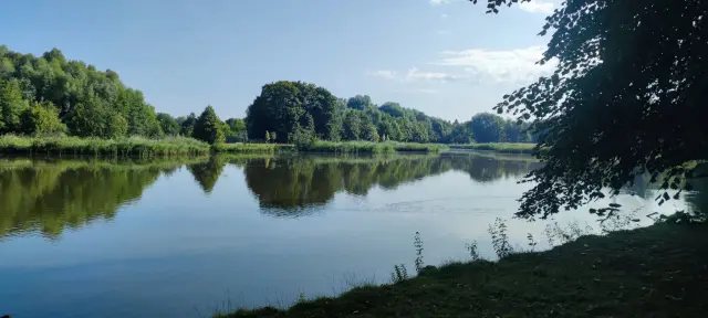Spokojna tafla wody odbija bujną zieleń drzew i niebo. Idealne miejsce na spacer po oleśnickiej trasie.